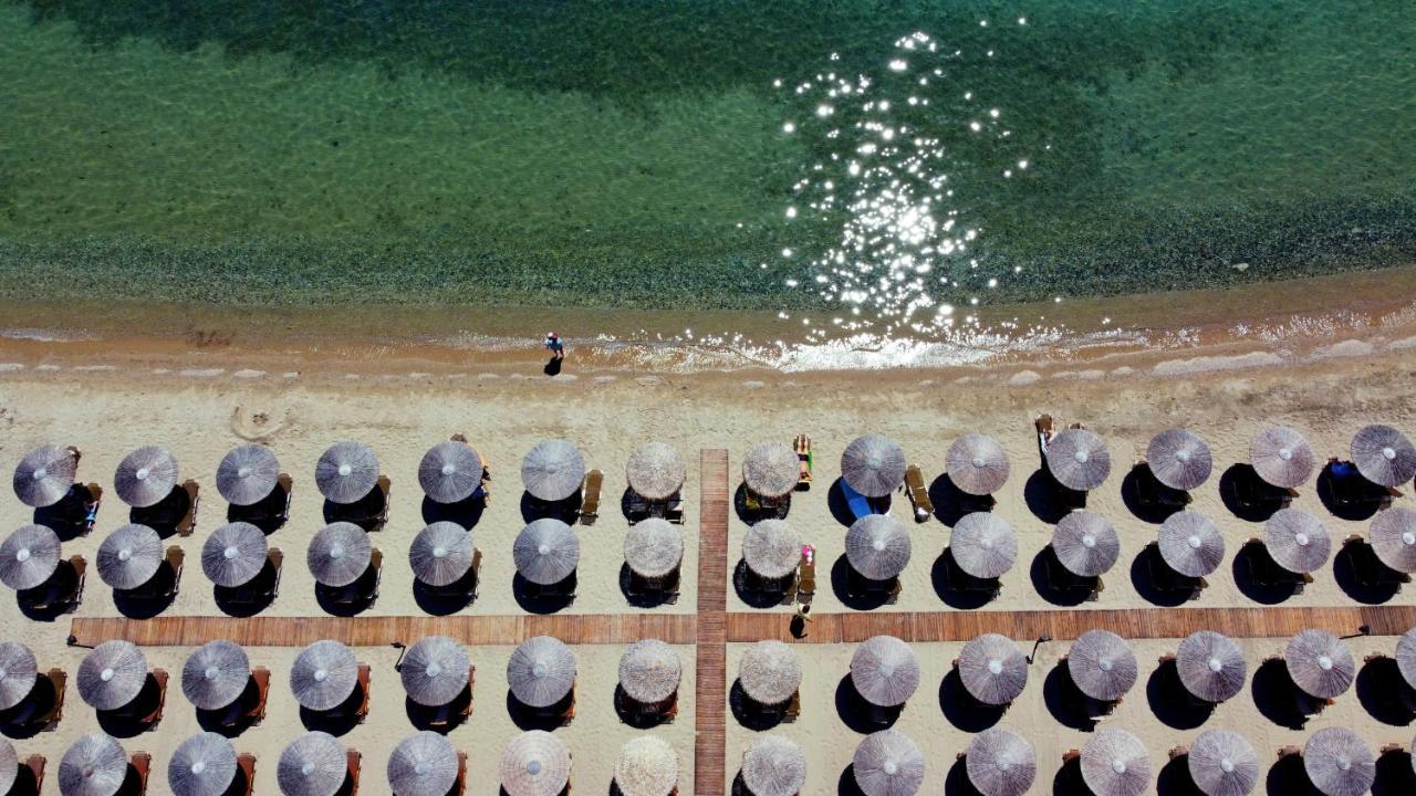 Beach Front Villa Nea Kallikrateia ภายนอก รูปภาพ